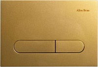 Клавиша смыва Allen Brau Project Color 9.2PR01.GD золотой