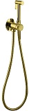 Смеситель с гигиеническим душем Allen Brau Priority 5.31A29-GB (с внутренней частью) золото