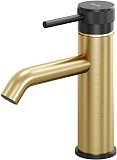 Смеситель для раковины Allen Brau Priority 5.31A01-GB31 черный/золото