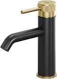 Смеситель для раковины Allen Brau Priority 5.31A01-31GB черный/золото