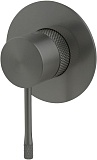 Смеситель для душа Allen Brau Priority 4.0 5.31C12-MG (с внутренней частью, 1 выход) графит браш