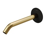 Излив Allen Brau Priority 5.31B18-31GB черный/золото