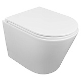 Унитаз подвесной Azario Teramo 515х355х365 безободковый, скрытое крепление, смыв "Торнадо",  в комплекте с сидением микролифт (AZ-0053-UQ3)