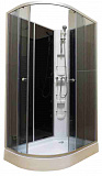 Душевое ограждение POLAR 503-1R, черная