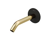 Излив Allen Brau Priority 5.31A18-31GB черный/золото